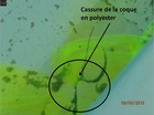 Recherche fuite eau en Haute-Garonne à Toulouse