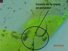 Recherche fuite eau en Haute-Garonne à Toulouse